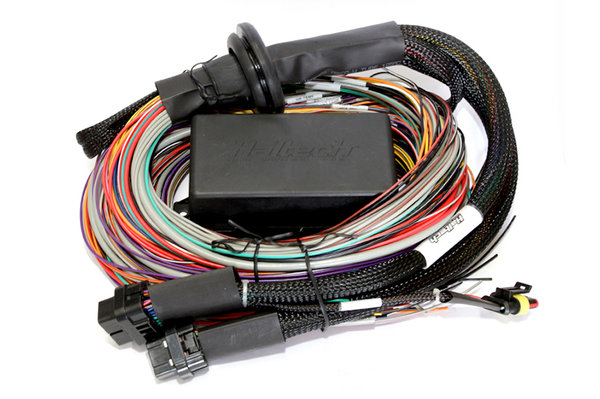 Elite 2500 T + Premium Universal Wire-in Kabelbaum Kit Länge: 2.5m